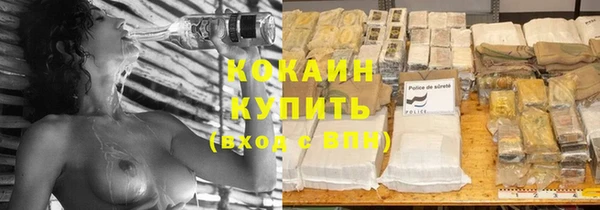 шишки Богородицк