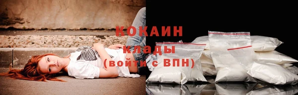 шишки Богородицк