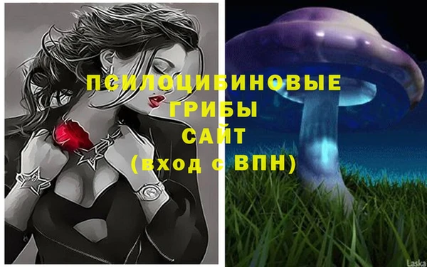 гидропоника Бугульма