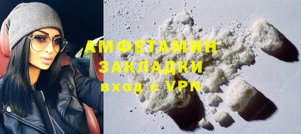 шишки Богородицк
