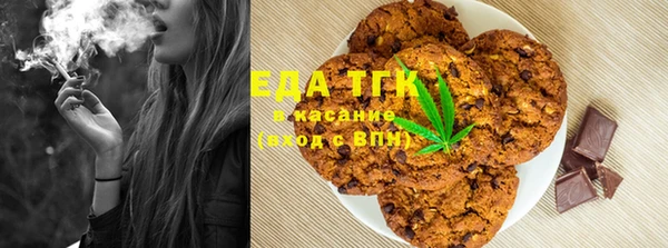 дмт Бородино