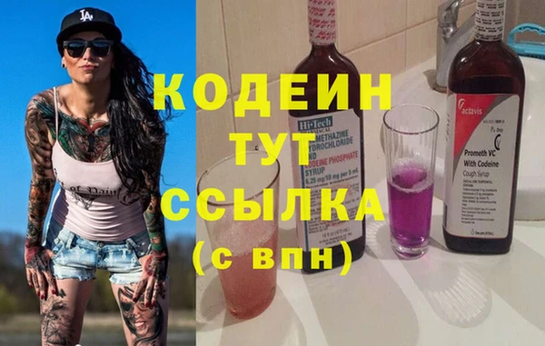 дмт Бородино