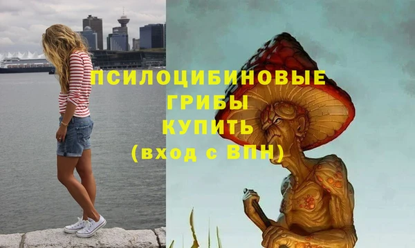 прущий лед Бронницы