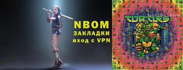 дмт Бородино