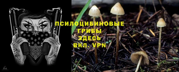 прущий лед Бронницы